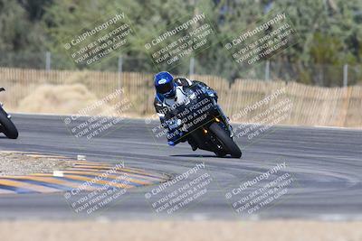 media/Feb-04-2024-SoCal Trackdays (Sun) [[91d6515b1d]]/2-Turn 3 (1015am)/